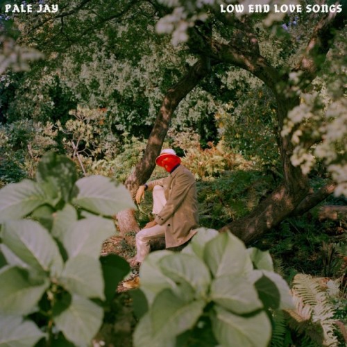 Pale Jay - Low End Love Songs (Storm Cloud Grey Vinyl)