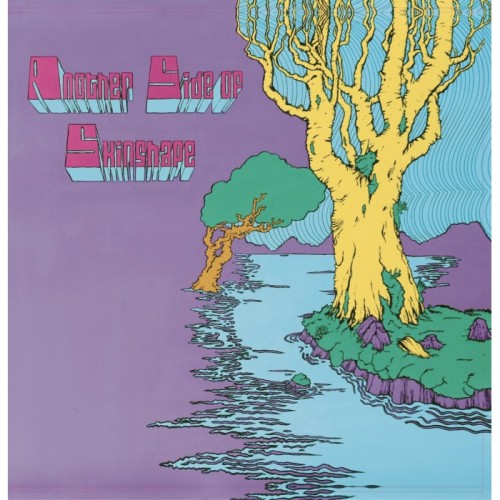 Skinshape - Another Side Of Skinshape