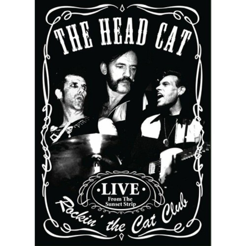 Head Cat - Rockin' The Cat Club