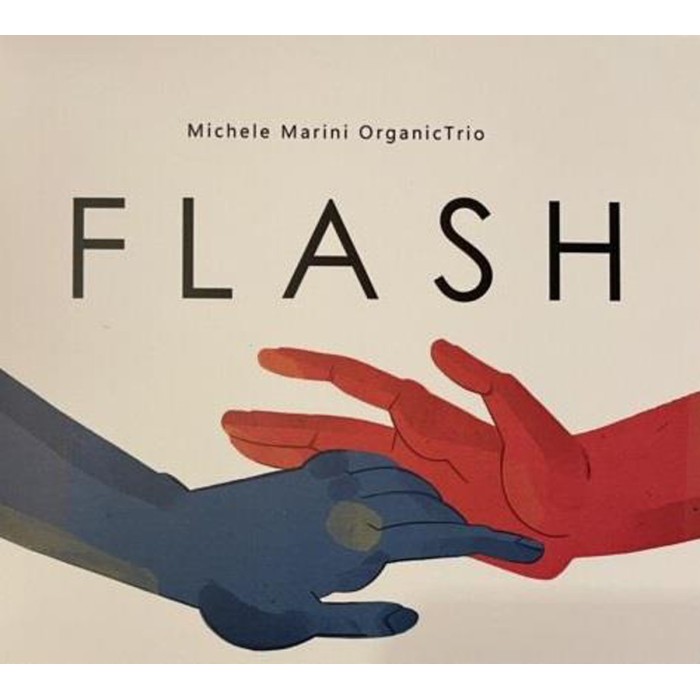 Michele Marini Organic Trio - Flash
