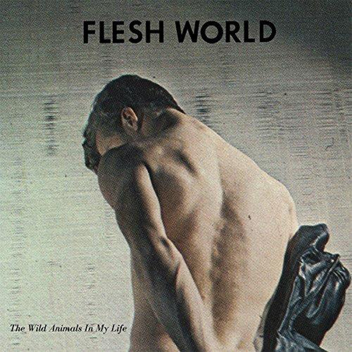 Flesh World - Wild Animals In My Life
