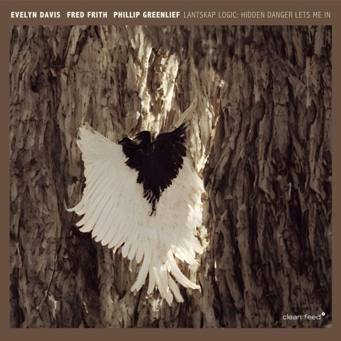 Evelyn Davis & Fred Frith & Phillip Greenlief & Lantskap Logic - Lantskap Logic