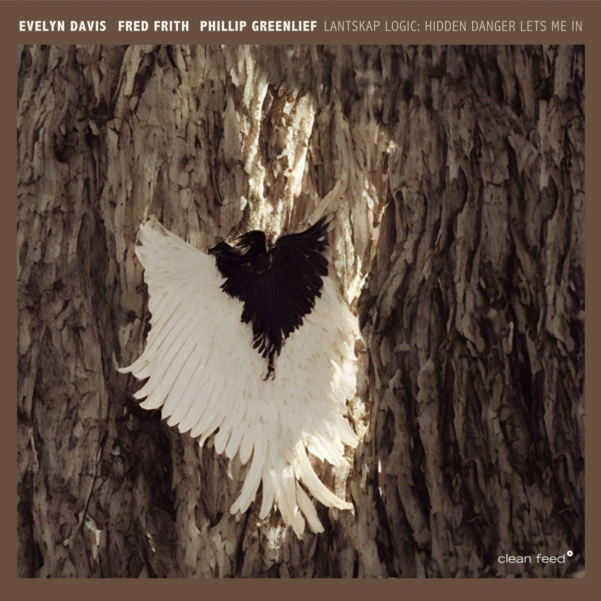 Evelyn Davis & Fred Frith & Phillip Greenlief & Lantskap Logic - Lantskap Logic