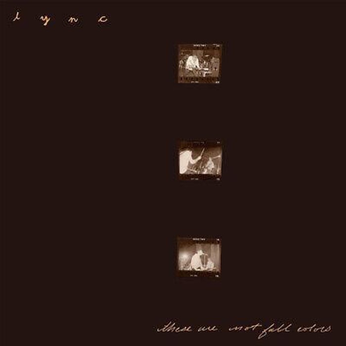 Lync - These Are Not Fall Colors (Color Blend Vinyl)