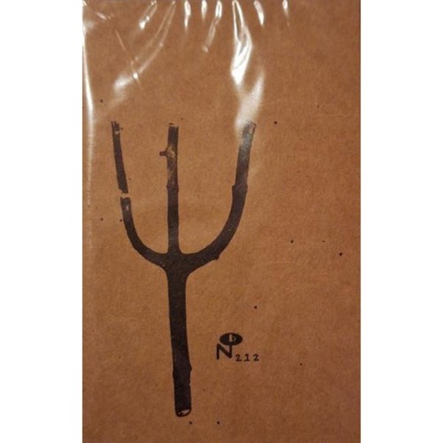 Indian Summer - Giving Birth To Thunder