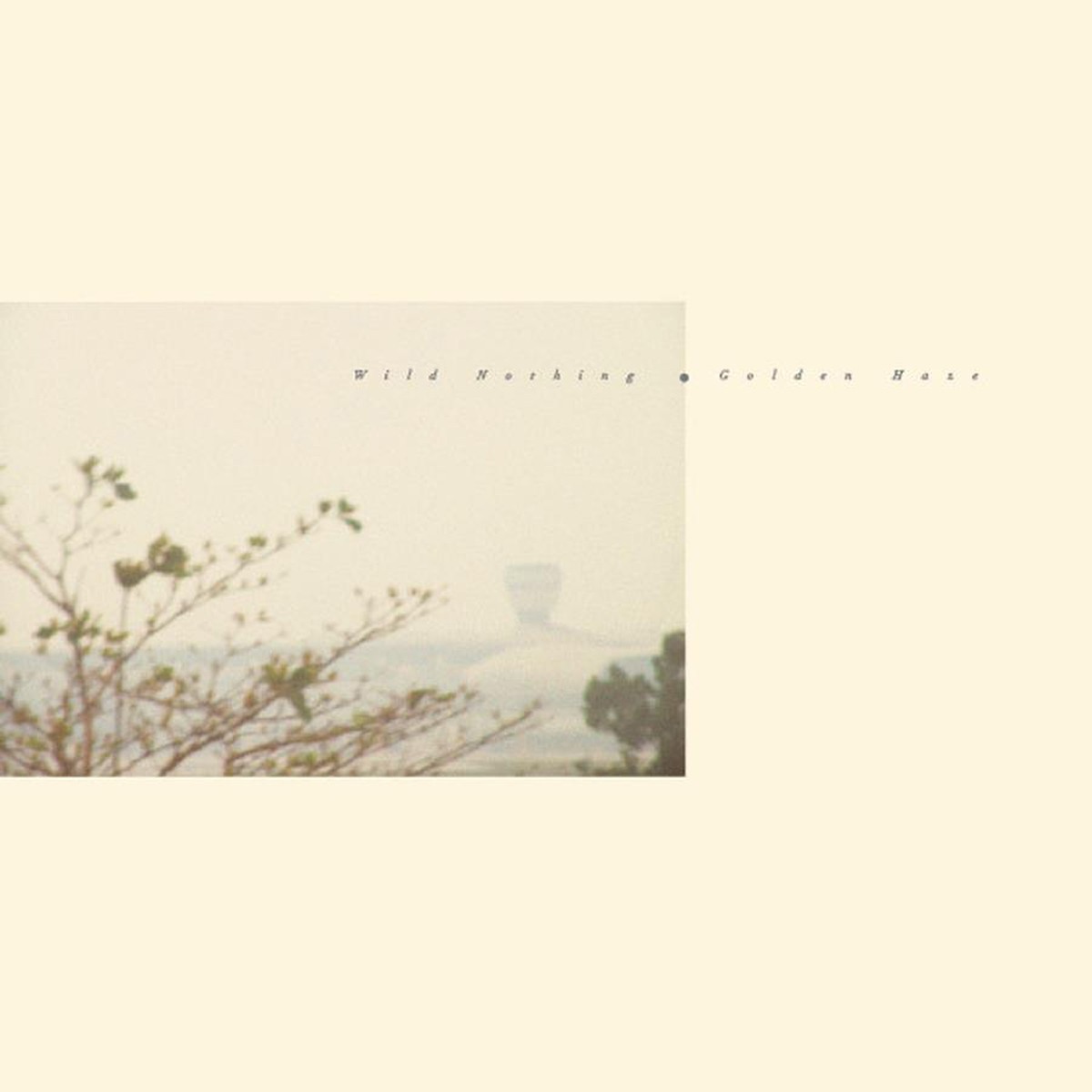 Wild Nothing - Golden Haze (Golden Haze Vinyl)