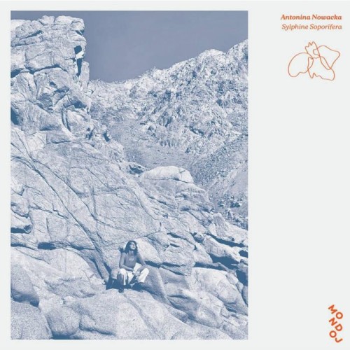 Antonina Nowacka - Sylphine Soporifera