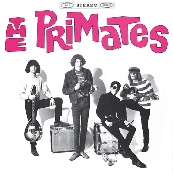 Primates - We Are The Primates
