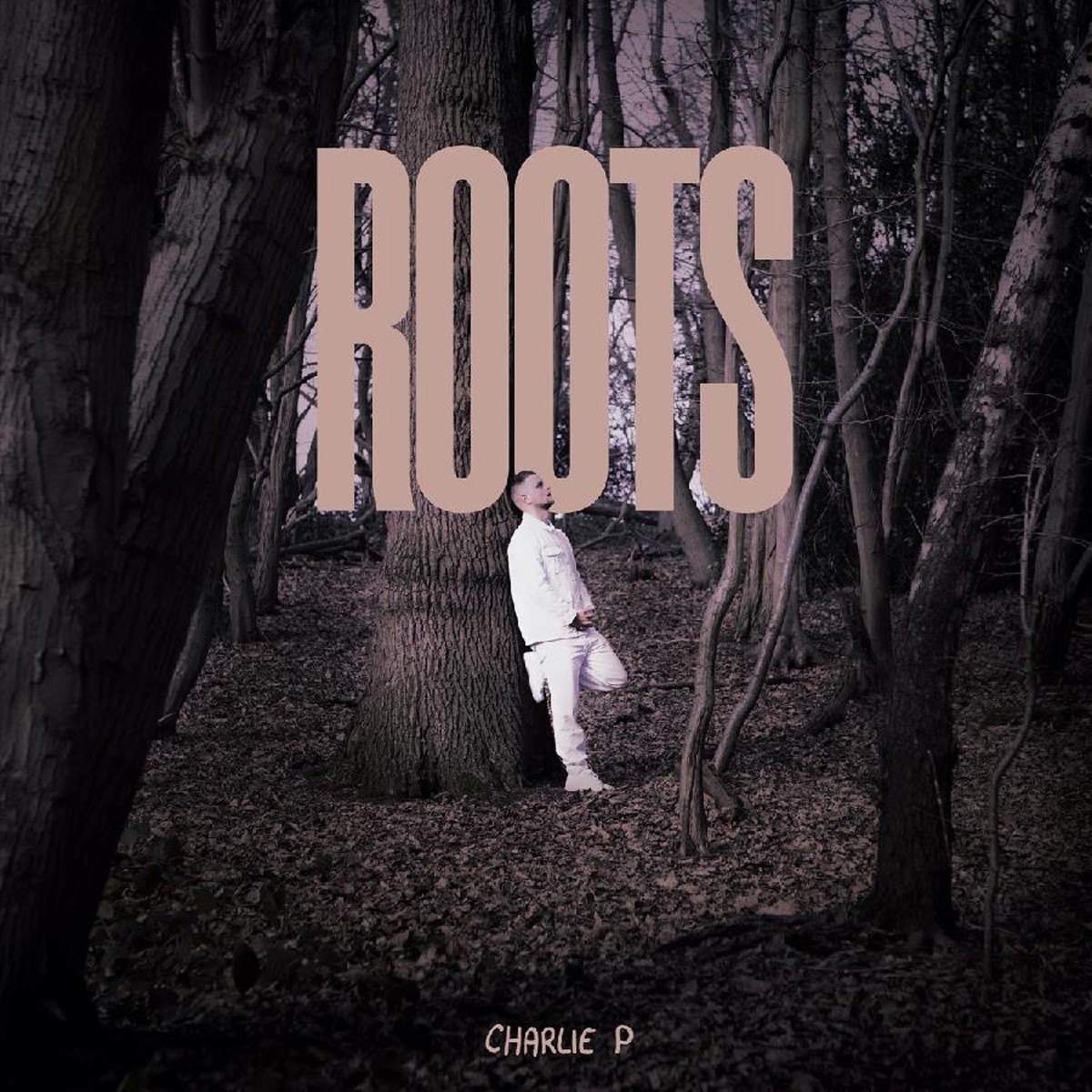 Charlie P. - Roots
