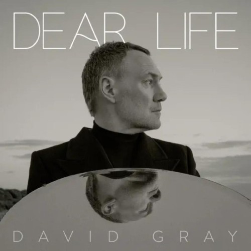 David Gray - Dear Life (Seaweed Green Vinyl)