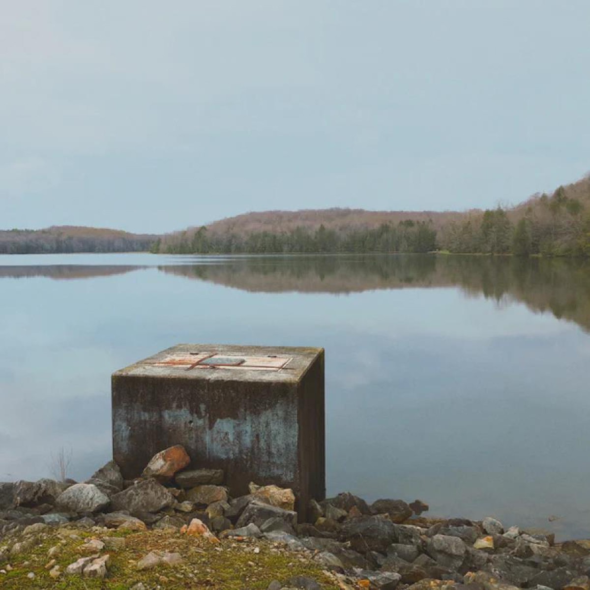 Yesness - See You At The Solipsist Convention (Dark Evergreen Vinyl)