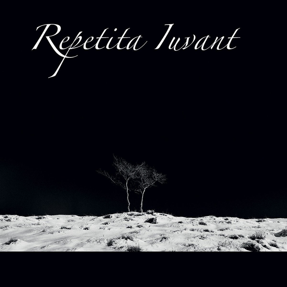 Repetita Iuvant - Square Foot Of Two