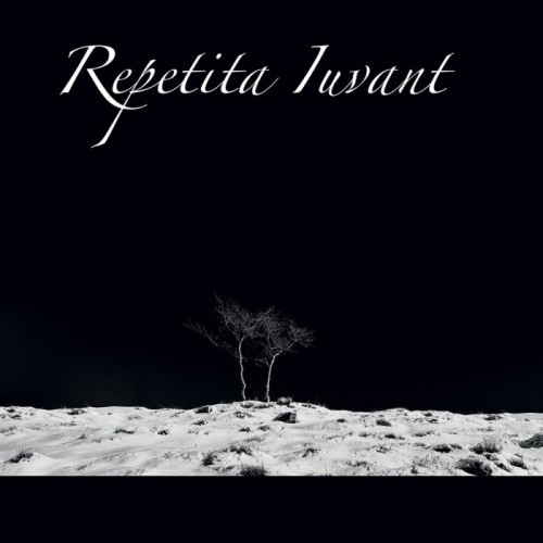 Repetita Iuvant - Square Foot Of Two