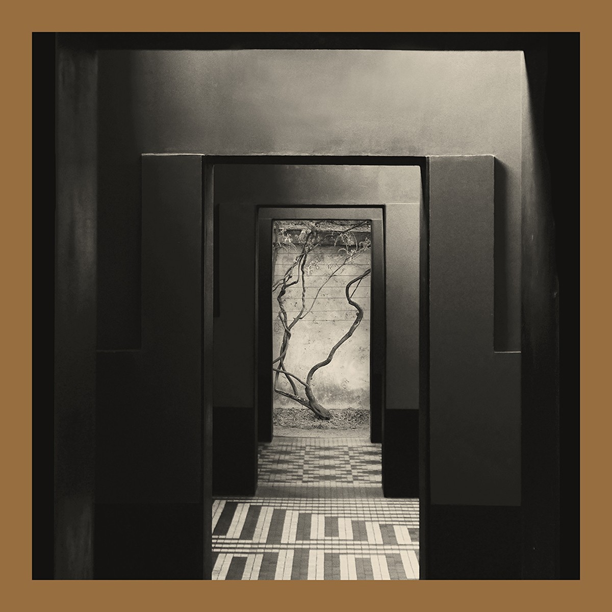 Yair Elazar Glotman & Mats Erlandsson - Negative Chambers