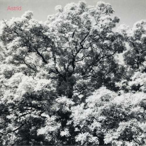 Astrid - Always Digging The Same Hole