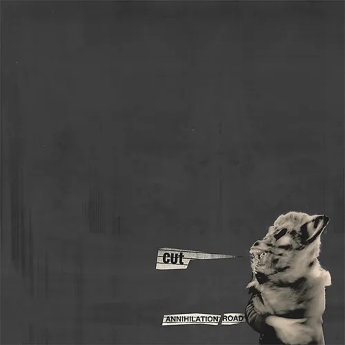 Cut - Annihilation Road (Reissue - Natural Clear Vinyl)