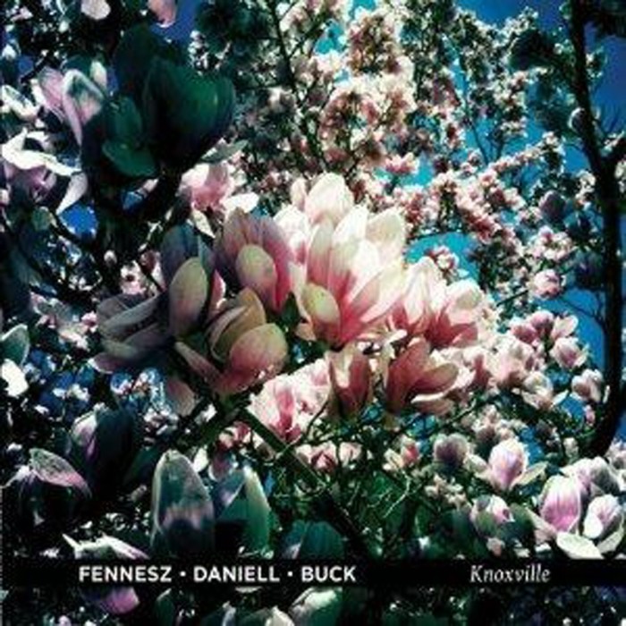 Fennesz & David Daniell & Tony Buck - Knoxville