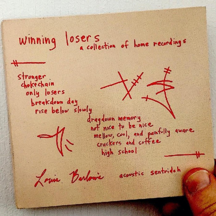 Lou Barlow - Really Insane: A Lou Barlow Compendium