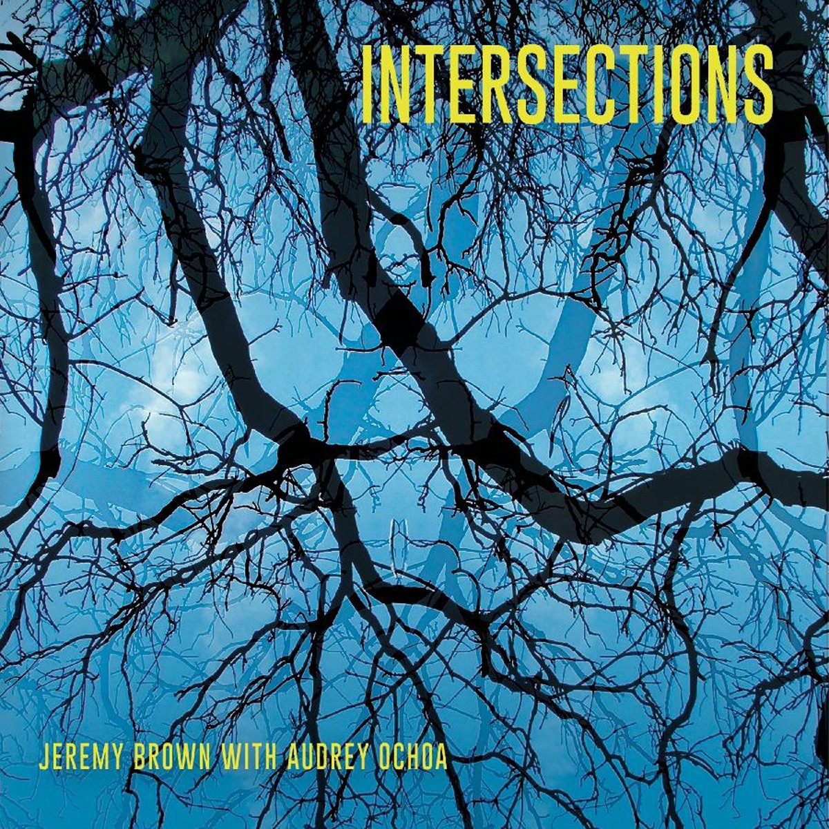 Jeremy Brown & Audrey Ochoa - Intersections
