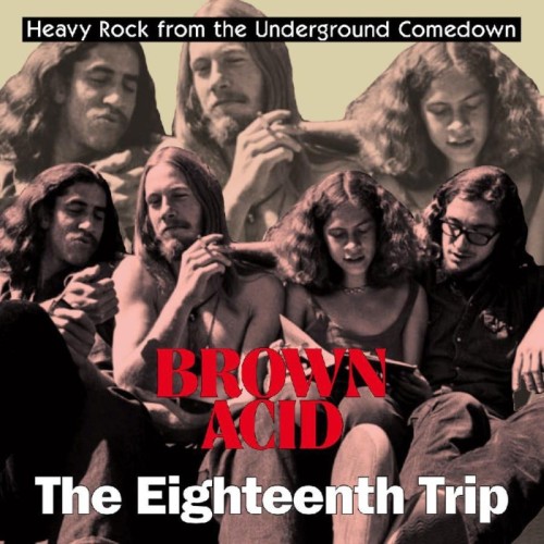 Various Artists - Brown Acid - The Nineteenth Trip