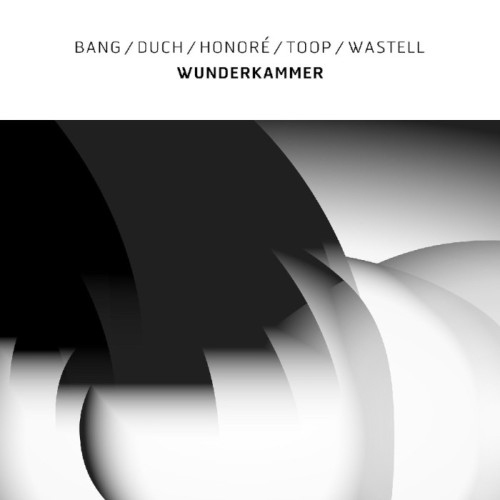 Bang-Duch-Honoré-Toop-Wastell - Wunderkammer (White Vinyl)