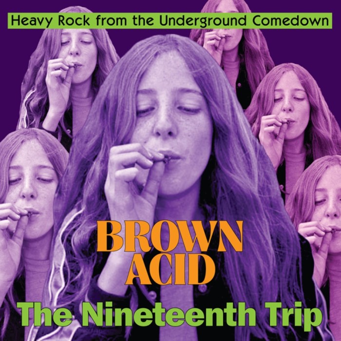 Various Artists - Brown Acid Vol. Nineteen
