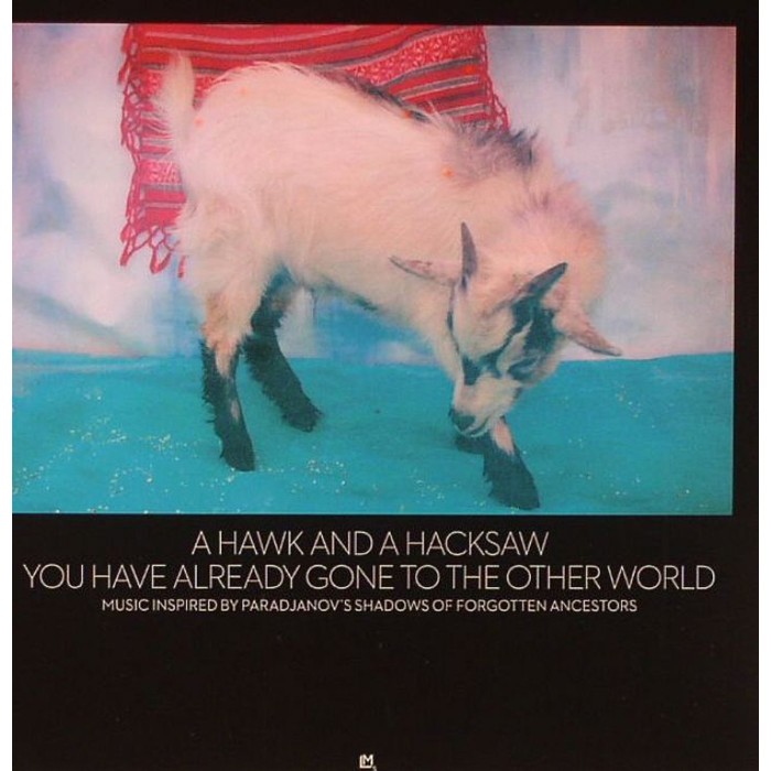 A Hawk And A Hacksaw - You Have Already Gone To The Other World