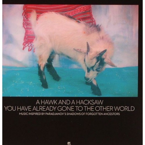 A Hawk And A Hacksaw - You Have Already Gone To The Other World