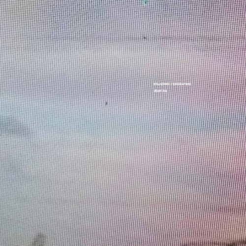 Jean D.L. - Standing / Engraving (Clear Vinyl)