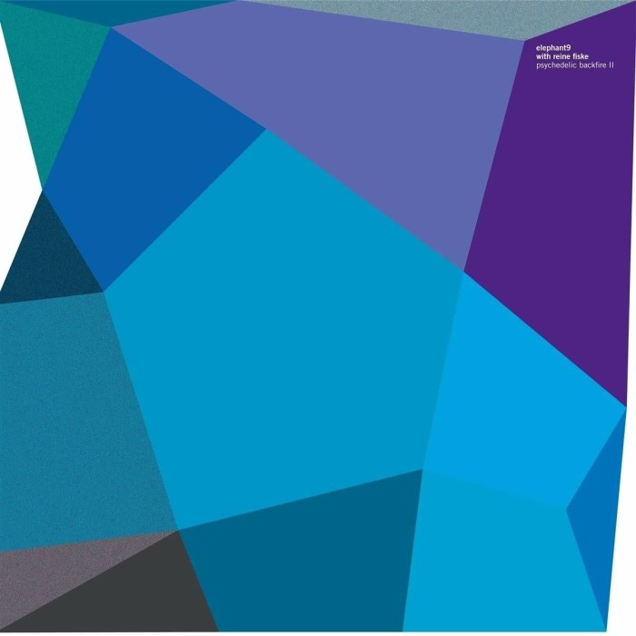 Elephant9 & Reine Fiske - Psychedelic Backfire II