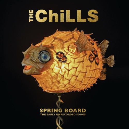 Chills - Spring Board: The Early Unrecorded Songs