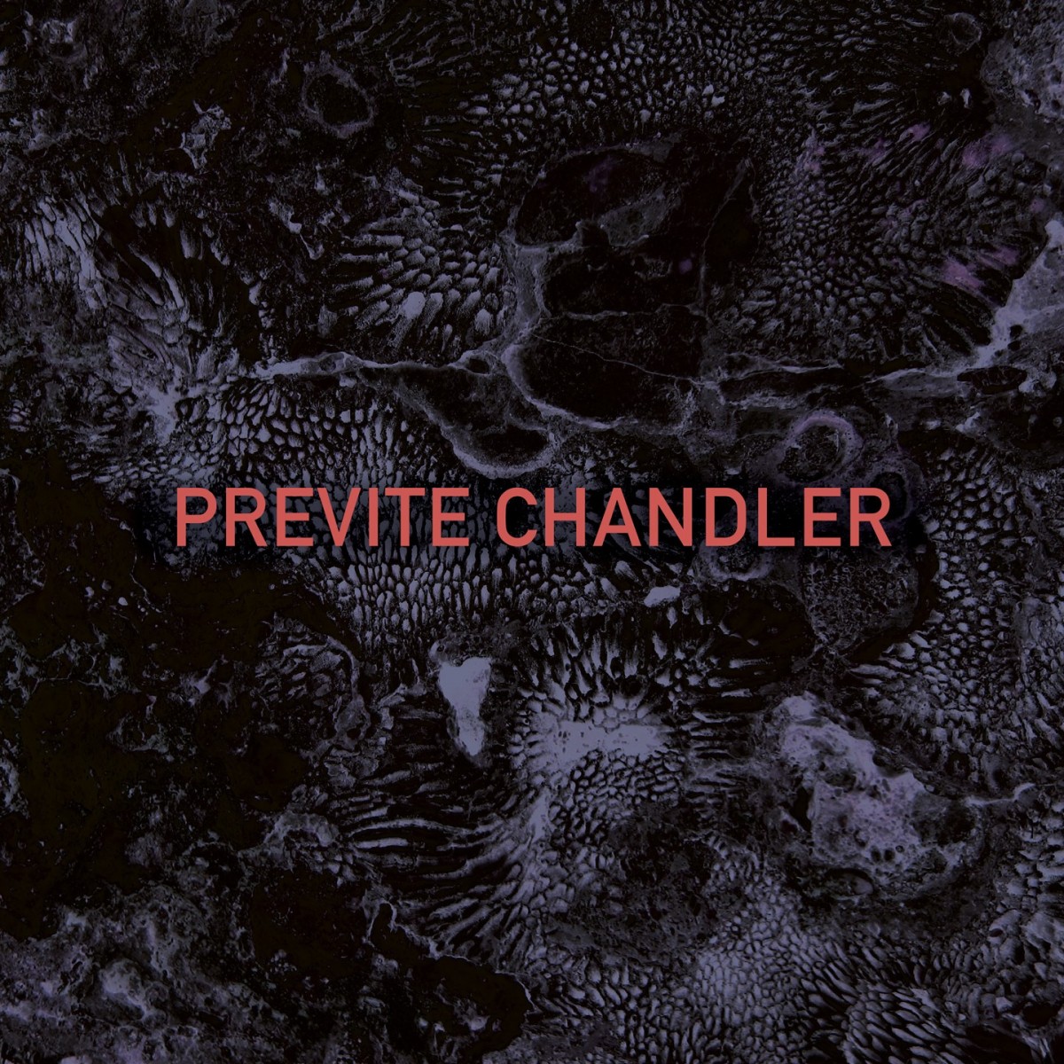 Previte-Chandler - Previte Chandler