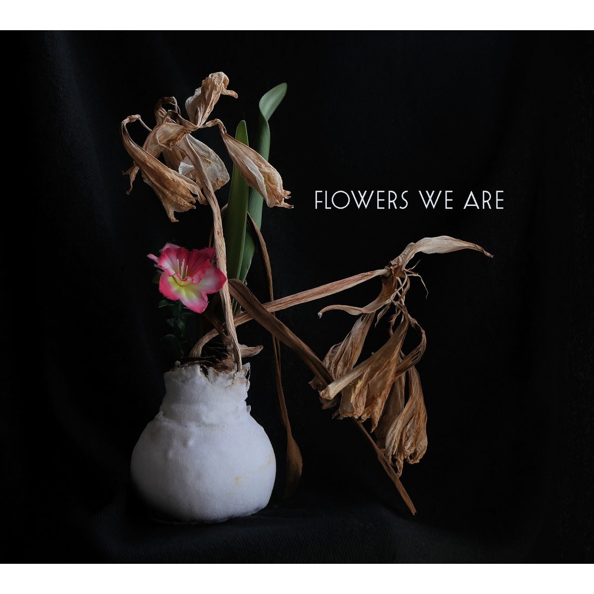 Flowers We Are - Flowers We Are
