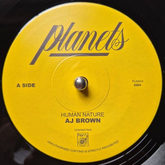 AJ Brown - Human Nature