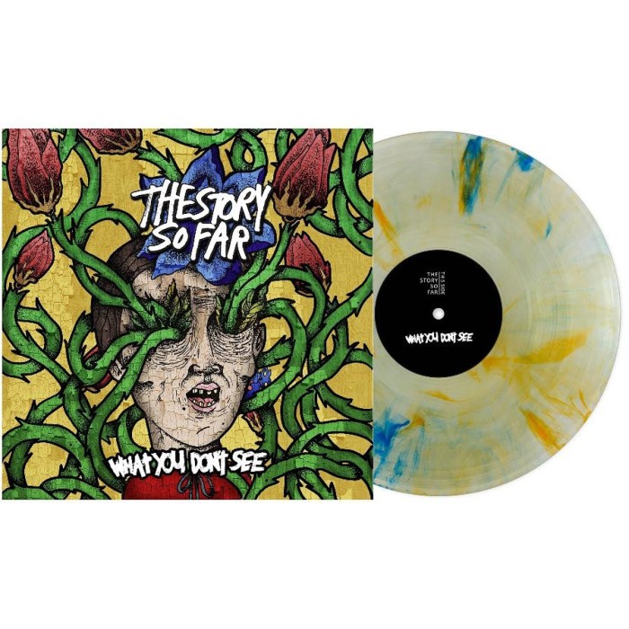 The Story So Far - What You Don't See (Tide Pods Marble Vinyl)