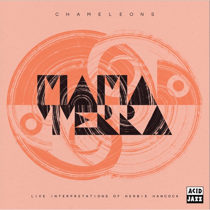 Mama Terra - Chameleons