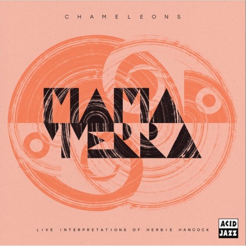 Mama Terra - Chameleons