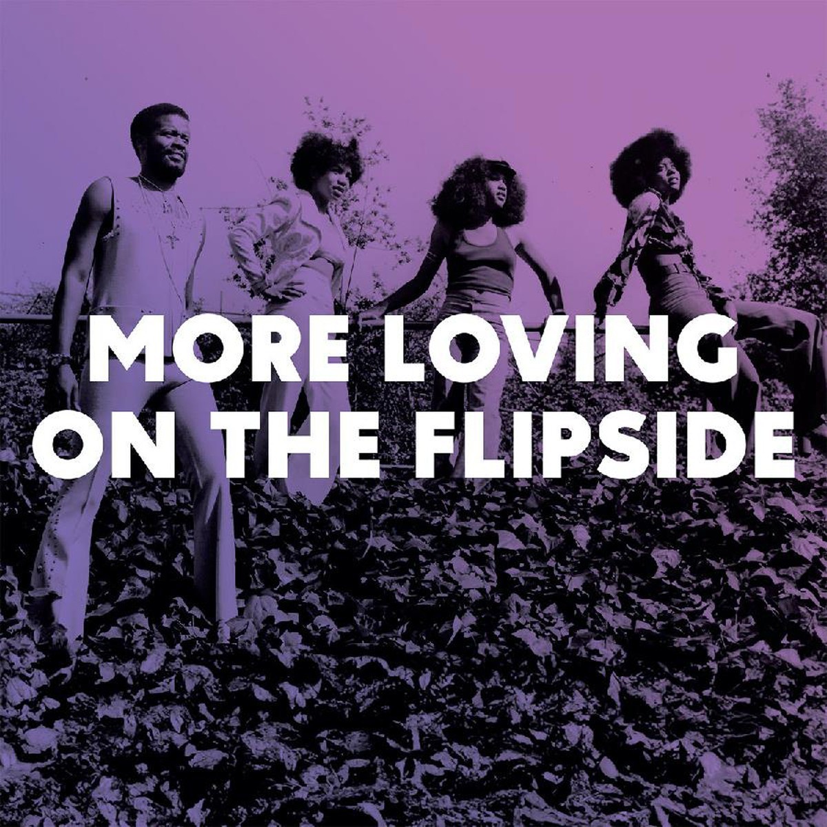 Various Artists - More Loving On The Flipside - Sweet Funk And Beat-Heavy Ballads 1968-1975