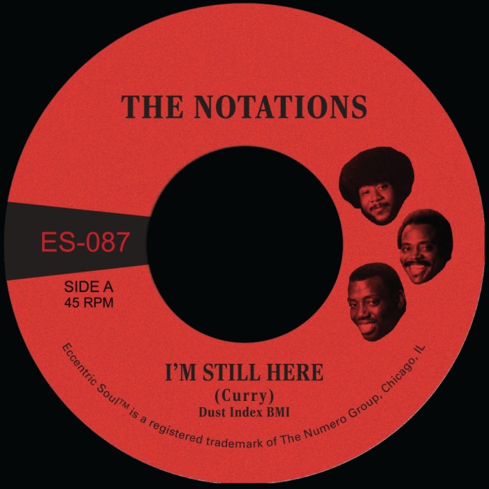 Notations - I'm Still Here / What More Can I Say (White Vinyl)