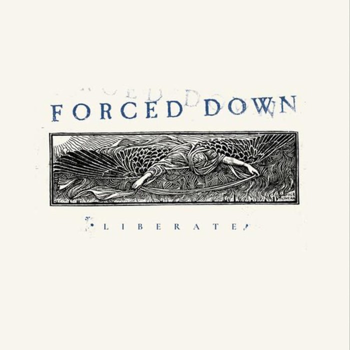 Forced Down - Lierate