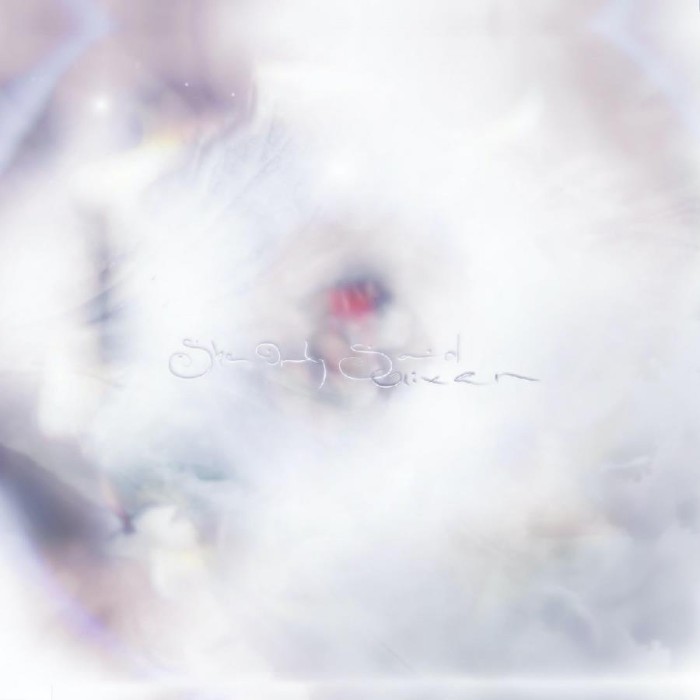 Glixen - She Only Said