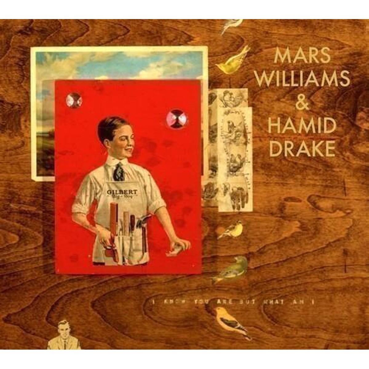 Mars Williams & Hamid Drake - I Know You Are But What Am I ?