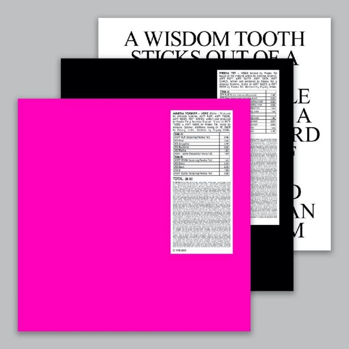 Amnesia Scanner & Freeka Tet - Hoax + Strobe.Rip