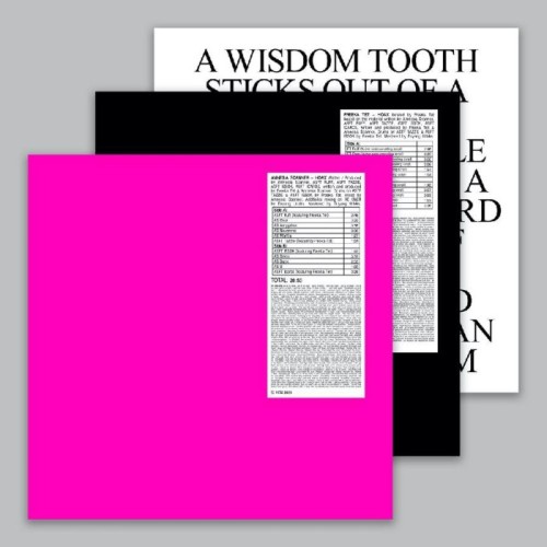 Amnesia Scanner & Freeka Tet - Hoax + Strobe.Rip