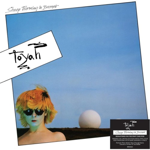 Toyah - Sheep Farming In Barnet