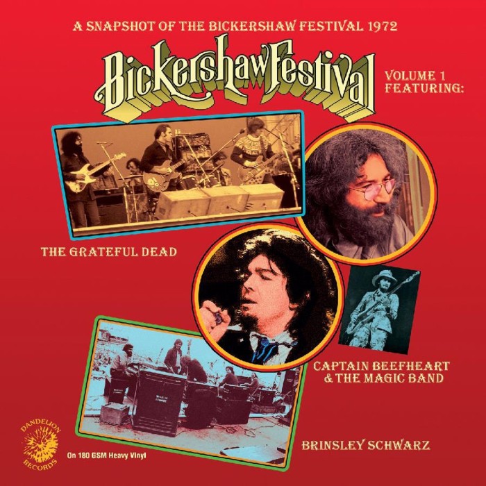 Various Artists - A Snapshot Of The Bickershaw Festival 1972 Vol 1 (Featuring Grateful Dead)