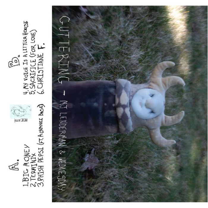 MJ Lenderman & Wednesday - Guttering