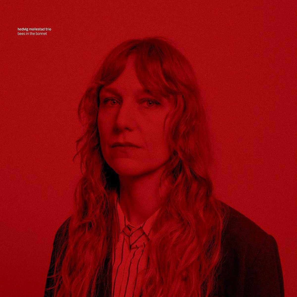 Hedvig Mollestad Trio - Bees In The Bonnet