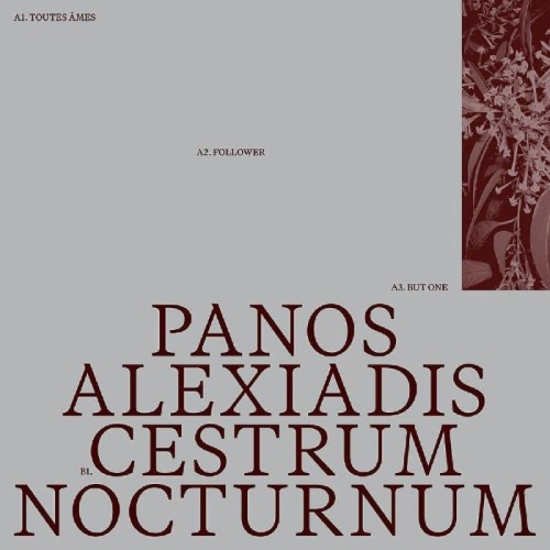 Panos Alexiadis - Cestrum Nocturnum