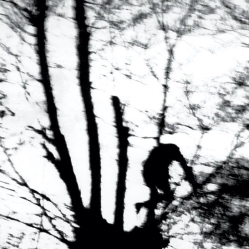 Cindytalk - Camouflage Heart